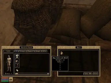 Mainland Morrowind Contact