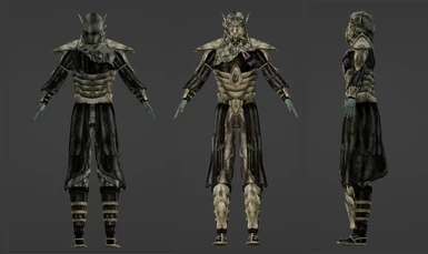 Sacred Necromancer Armor