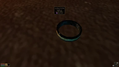 Ring of the Flea - hidden somewhere in the market