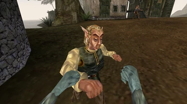 Oh no, I accidentally punched Fargoth!