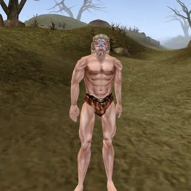 Troubled Nords Trio - Versatile Companions