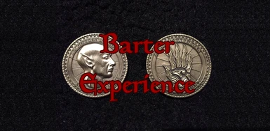 Barter Experience
