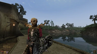 Image of the Hortator w/o Hat, OpenMW
