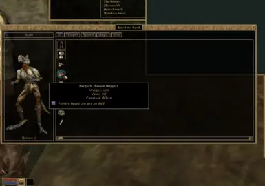 Fargoth Blessed Slippers