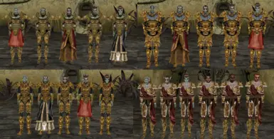 Redoran Guard Variants