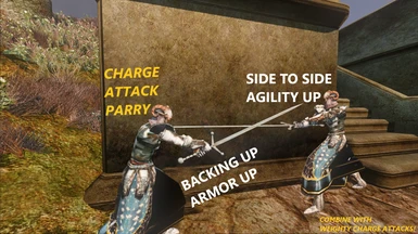 Charge Attack Parry