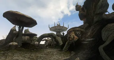 Sadrith Mora Market