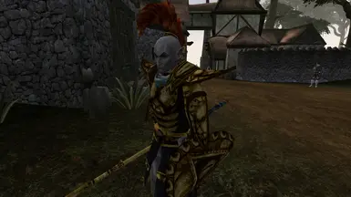 Glorious Nerevar hawk with A LOT of trinkets, Dunmer style