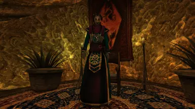 Younger Aryon + Telvanni Magister Robes
