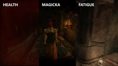 Solthas Bodz Stat Shaders (OpenMW Lua)
