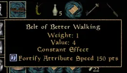 Better Walking Belt