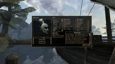 Dunmer