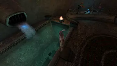 Default Dunmer Man 