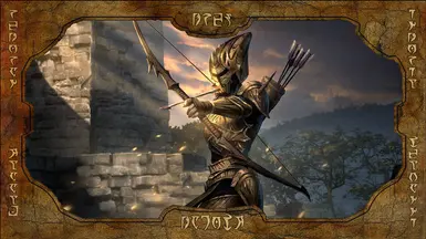 Portrait - Hlaalu Sharpshooter (Legends)