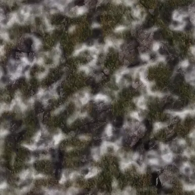 Darkstone Grass Snow texture
