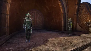 Buoyant Armigers in The Elder Scrolls Online