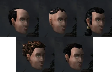 Breton Male Update v1.1 Redguard Hairstyles