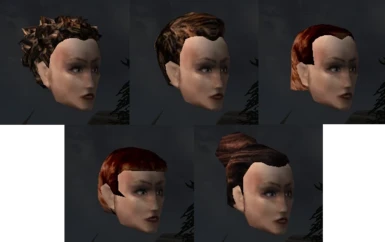 Imperial Female Update v1.1 Redguard Hairstyles