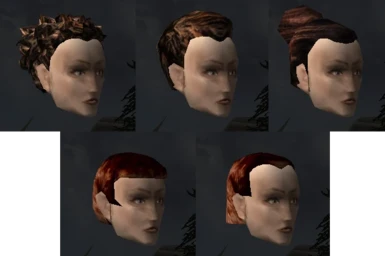 Nord Female Update v1.1 Redguard Hairstyles