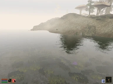 River/Sea groundcover from above water, vanilla MW