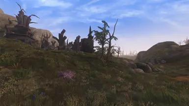 WG land texture set (covers West Gash and various TR regions)