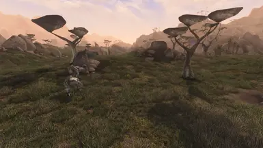 RR land texture set (covers Roth Roryn)
