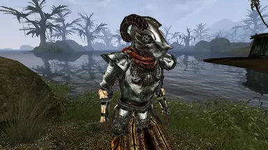 with Darknut's Armor Textures