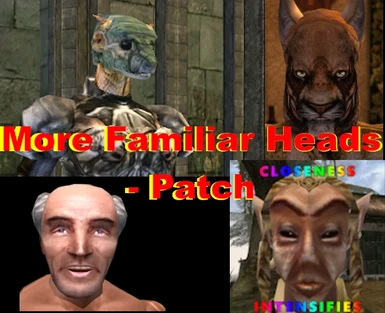 More Familiar Heads - Patch