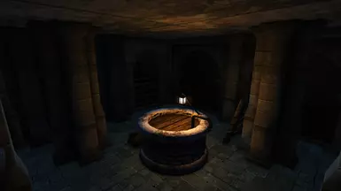 Entry point from Surane Leoriane's Basement