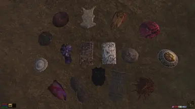 All sixteen shields