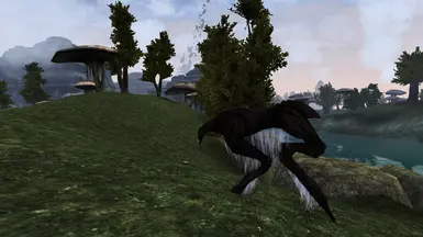 An Ascadian Velk
