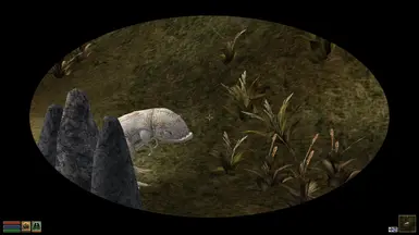 Zooming with overlay turned on