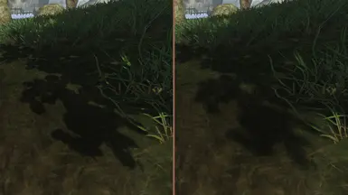 Before and after filtering shadows (optional download)
