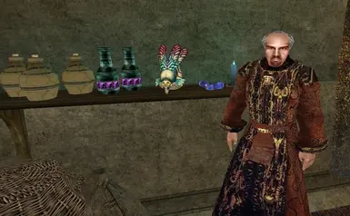 Vivec, Telvanni Enchanter