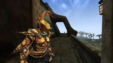 Helmet version
