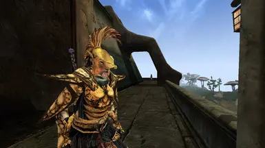 Helmet version on Khajiit 