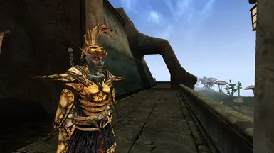 Mask version on humanoid race 