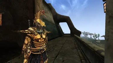 Helmet version on humanoid race 