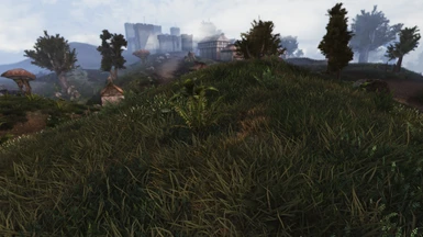 Natural Grass for Morrowind