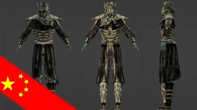 Sacred Necromancer Armor CN