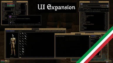 UI Expansion ITA