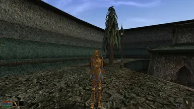 Elven armor female cuirass update as shown in-game