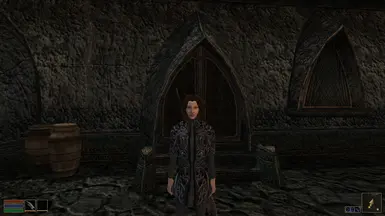 Elven clothes from the front as shown in-game