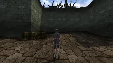 Mithril armor back view as shown in-game