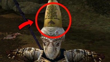 Obviously Better Colovian Fur Helm