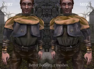 Vurt's vs Morrowind Enhanced Textures