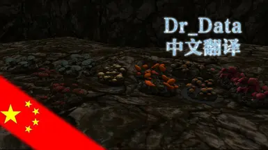 Dr_Data-Chs