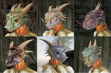  Male Argonian Horn Styles and Faces