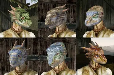  Female Argonian Horn Styles and Faces