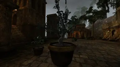 Version 2.0 New Planters